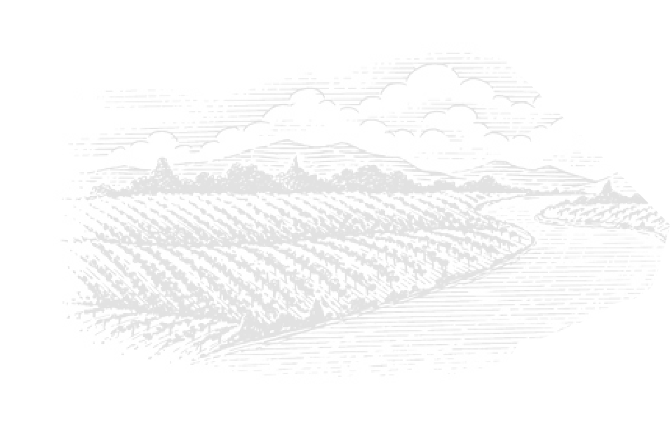 7-winery-image-4 (1)