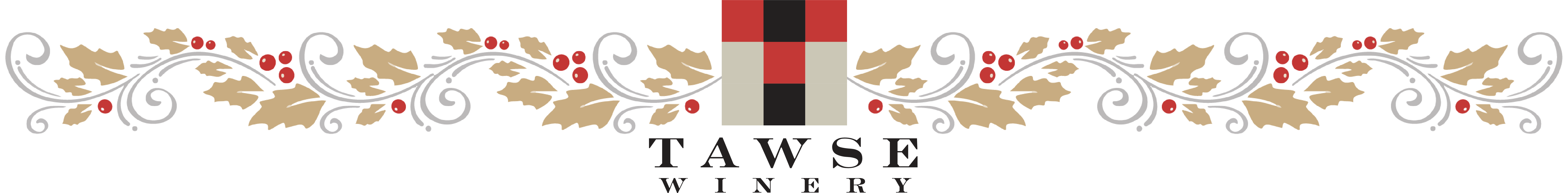 TAWSE_Christmas Banner_LARGE